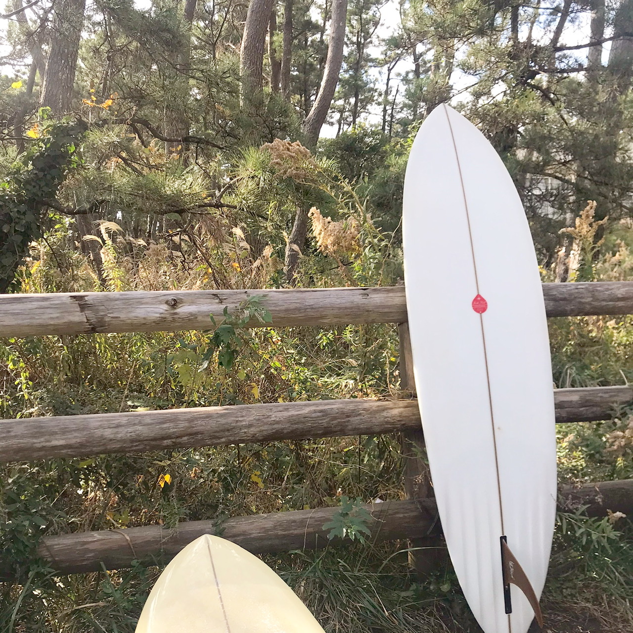ミッドレングス「ジョシュのプンタ」6'6が最高で憧れる！ | SUN AND SURF