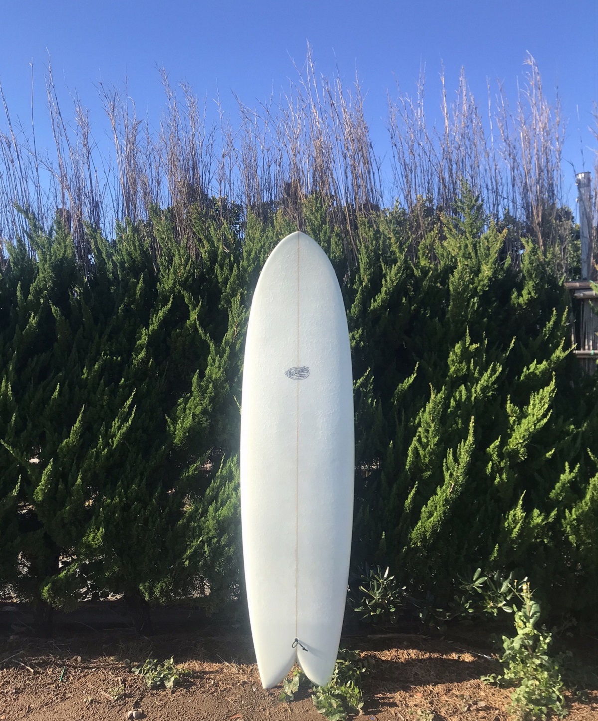ミッドレングス4本目！ついに「ハルフィッシュ」7'0をGET！ | SUN AND SURF