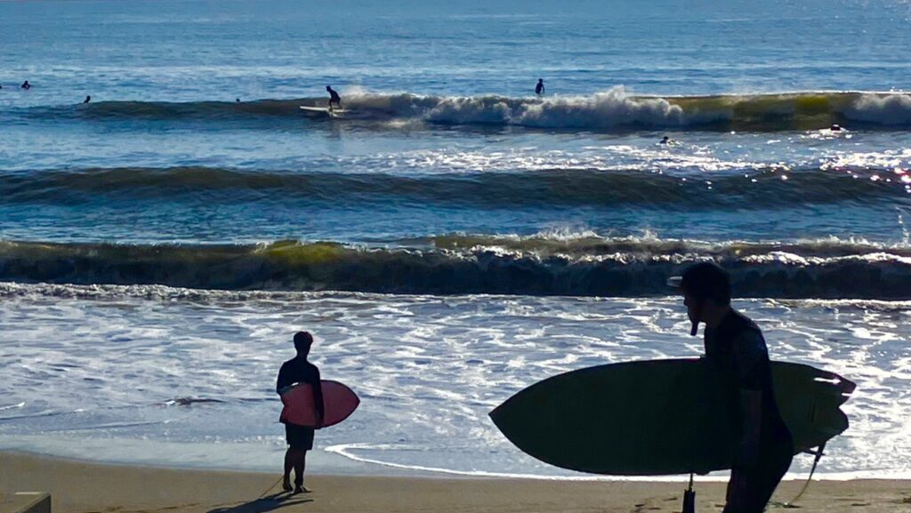 サーフィン保険6種を比較！400円から、選び方も
