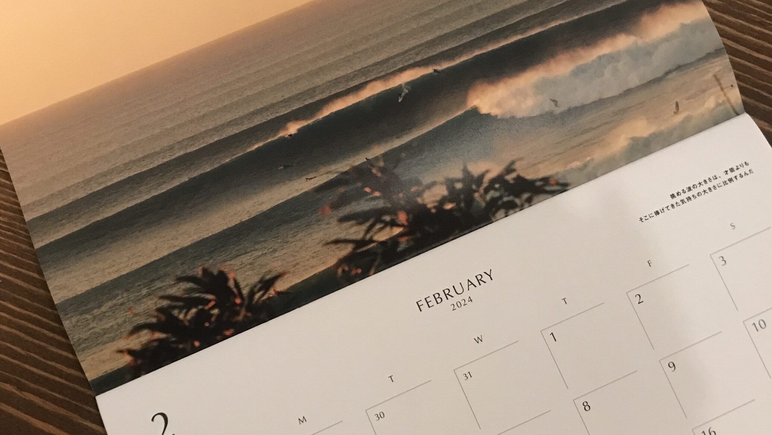 一粒万倍日で最強開運はいつ？海旅がもっといい日に！【2024】